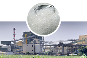 Sugar Industry